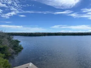 IMG 0771
