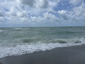 IMG 4243
