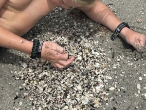 IMG 4249