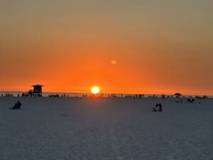 IMG 6356 IMG 6356