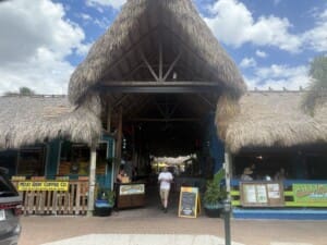 IMG 4607 IMG 4607